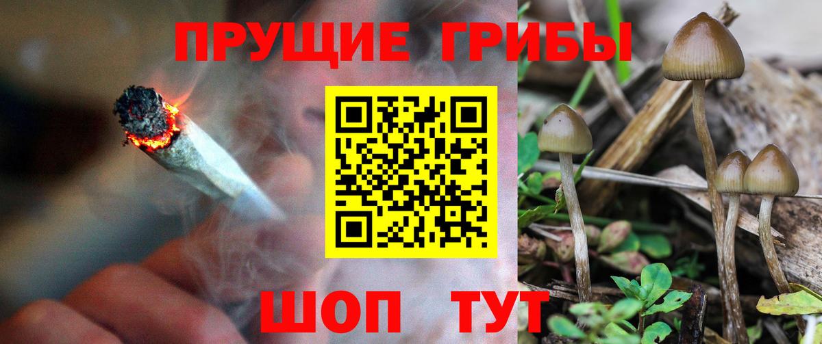 Галлюциногенные грибы MAGIC MUSHROOMS Алатырь